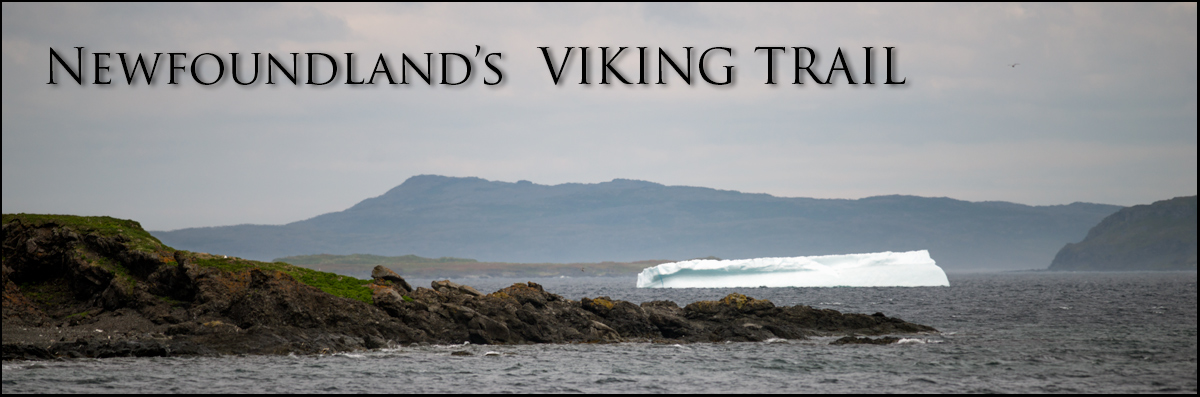 Newfoundland's Viking Trail