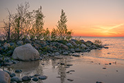 Kathy's Gallery