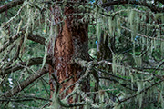 Kathy's Gallery