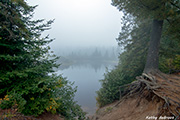 Kathy's Gallery
